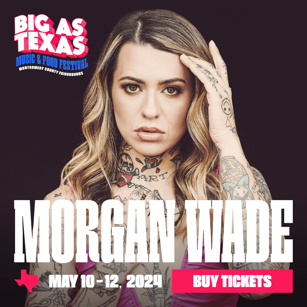 Big as Texas project image 4