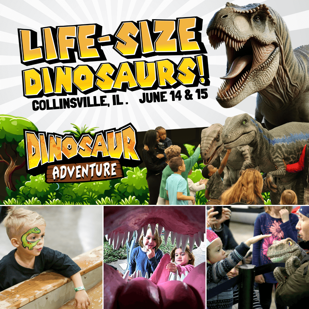 Dinosaur Adventure project image 3
