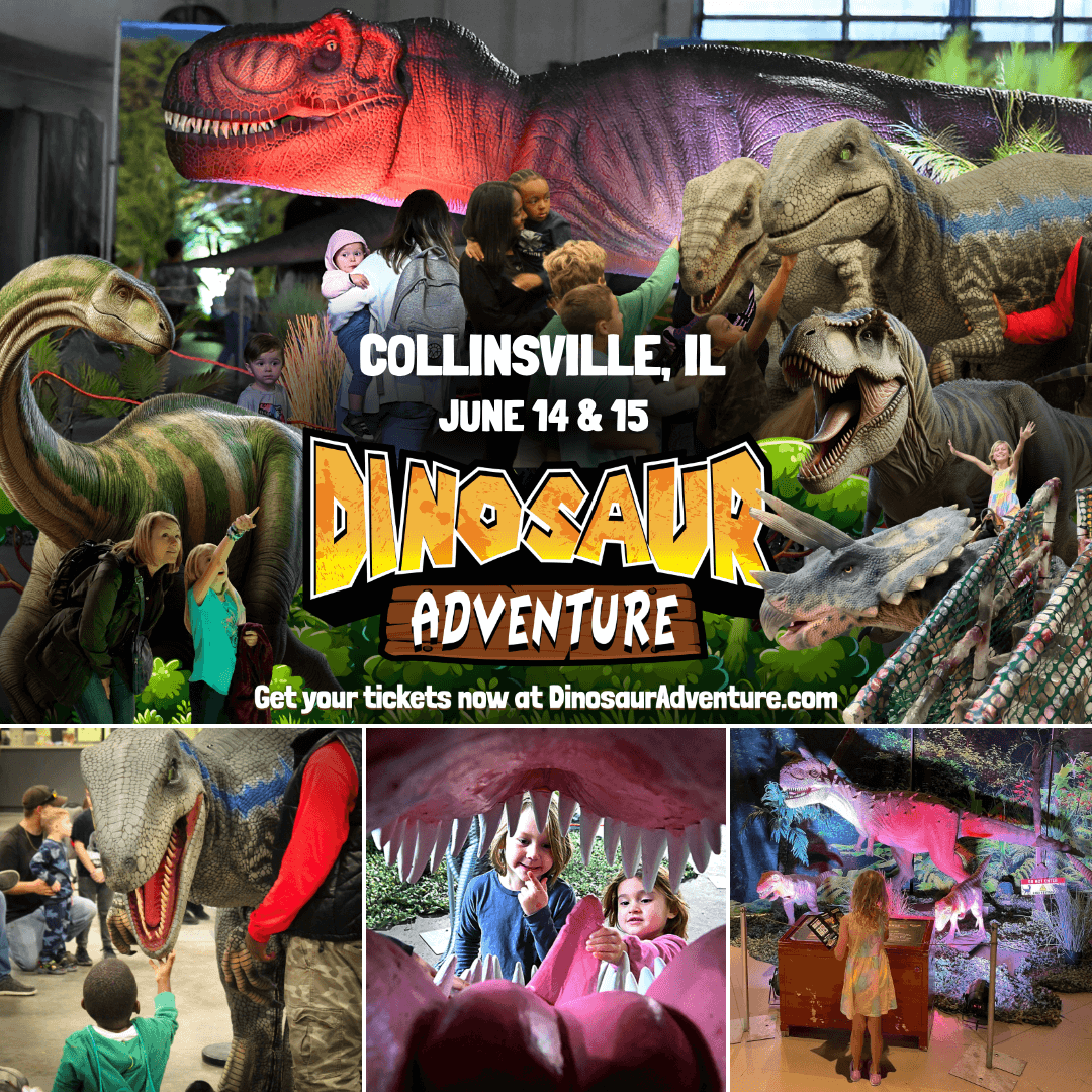 Dinosaur Adventure project image 5