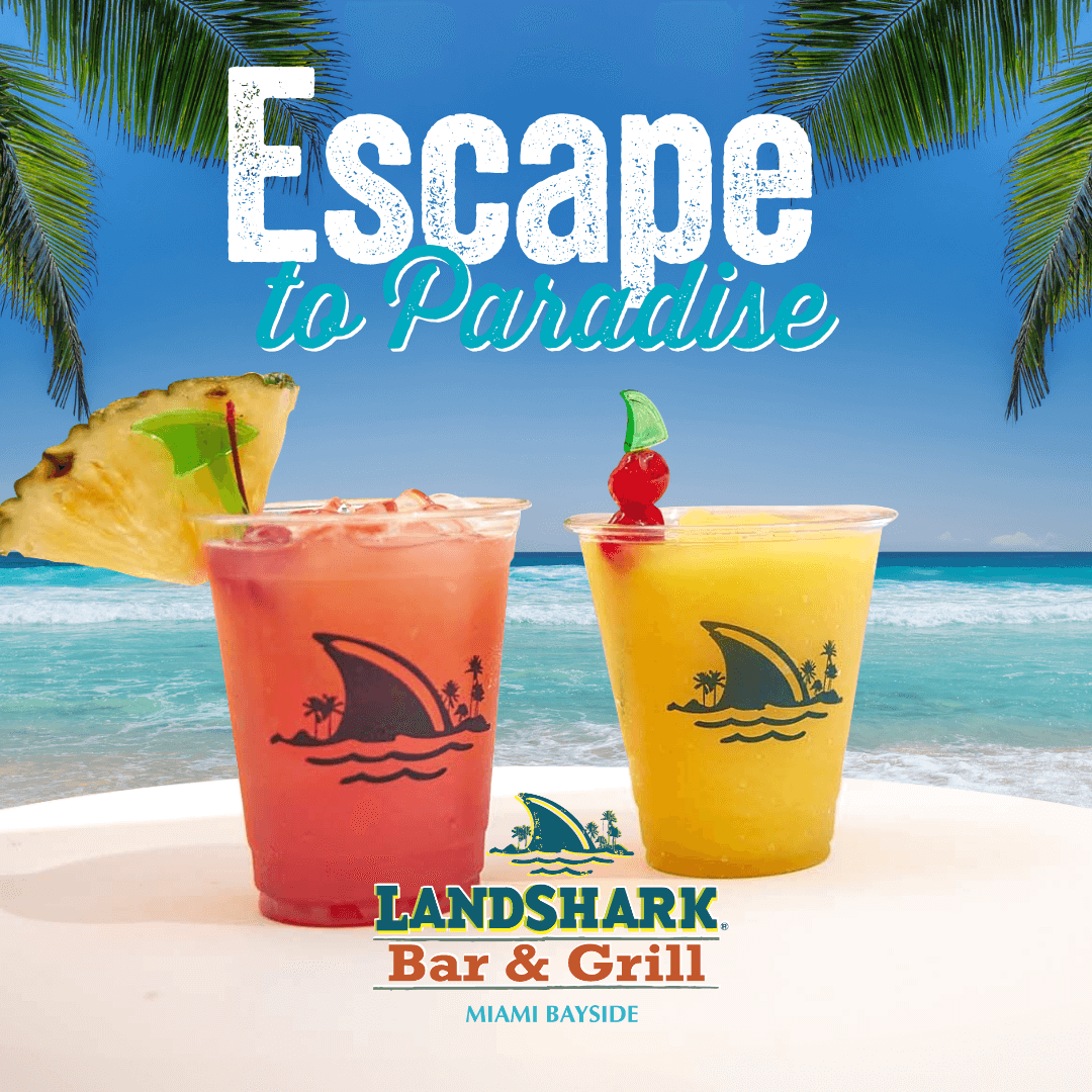 Landshark project image 6