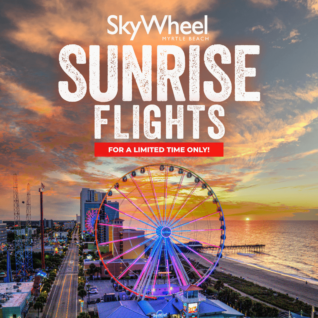Skywheel project image 4